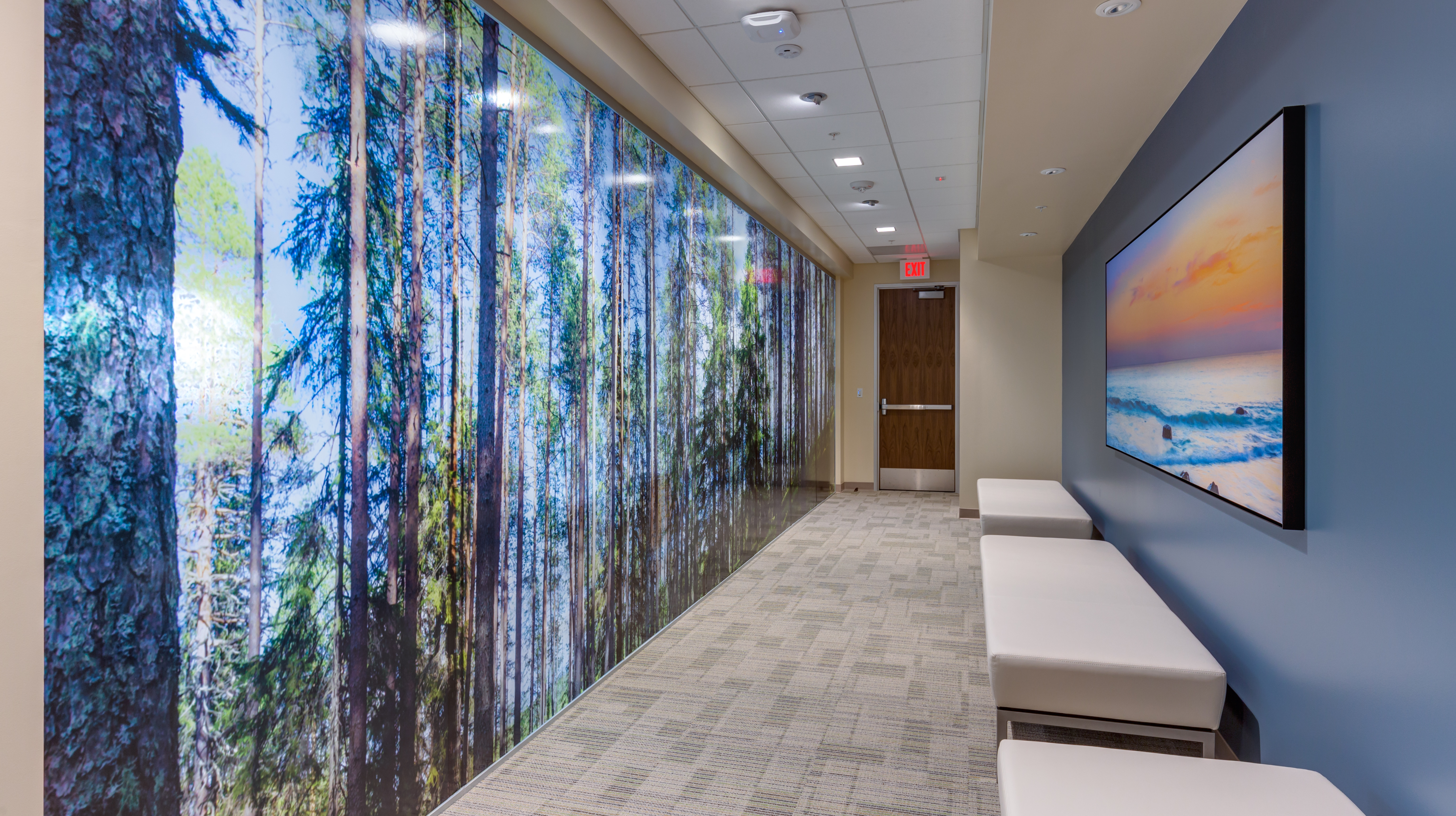 A view of a hallway lined with a tree mural and comfortable seats